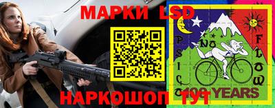 дмт Гай