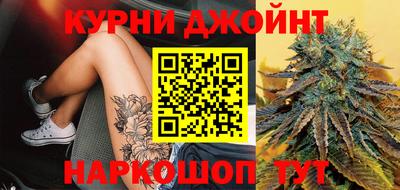 дмт Гай